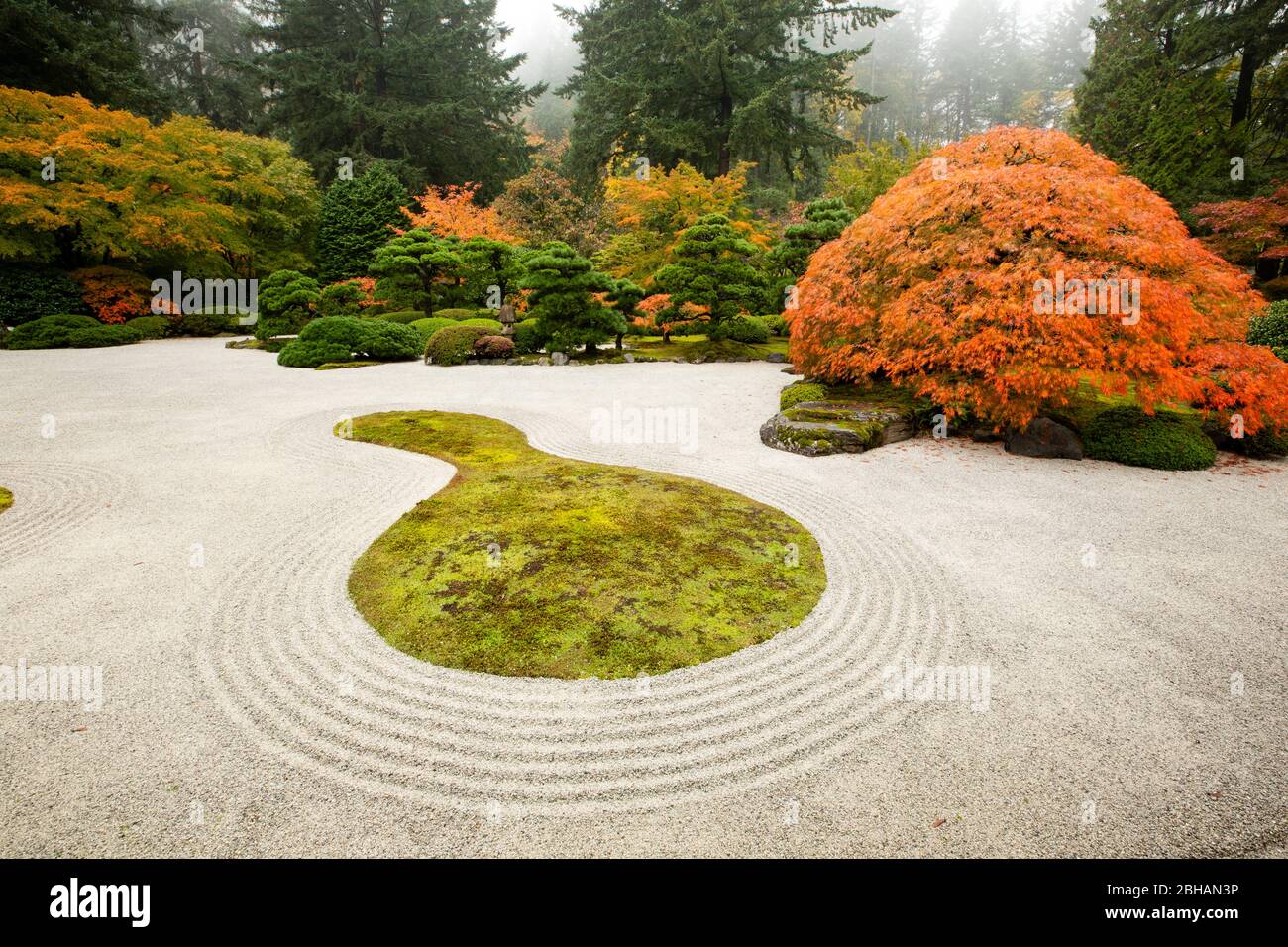 Autumn, Zen garden, Japanese garden, Portland, Oregon, USA Stock Photo