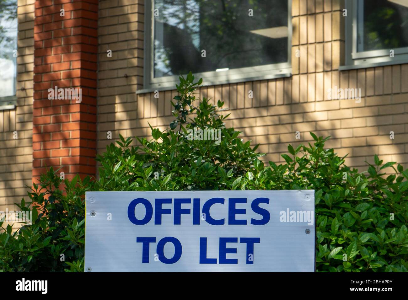 A sign in front of some offices stating offices to let Stock Photo