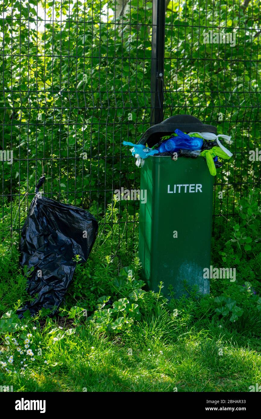 full council litter bins filled with dog poo bags Stock Photo