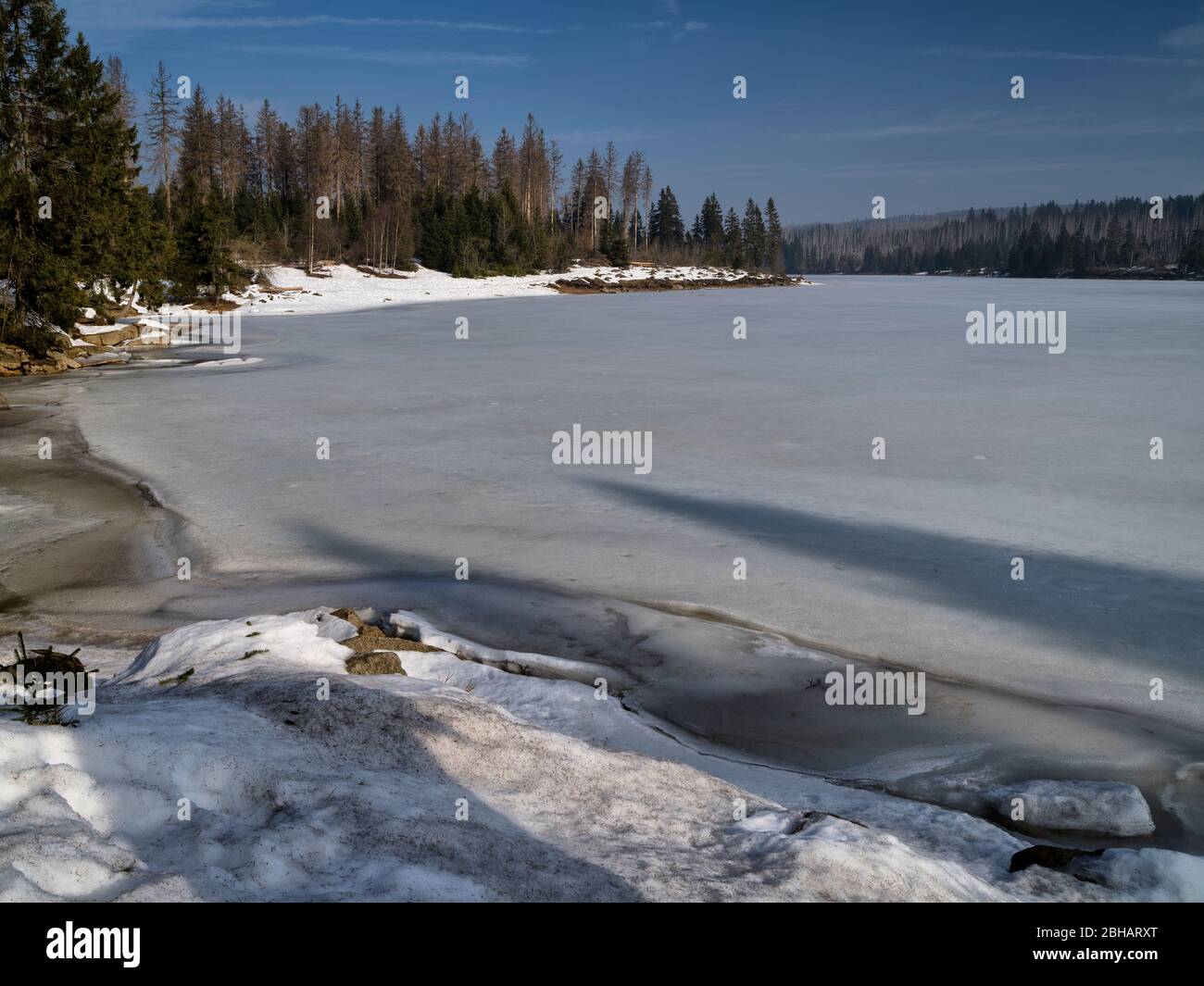 Europe, Germany, Lower Saxony, peat house, Harz National Park, spruce at Oderteich, winter mood Stock Photo