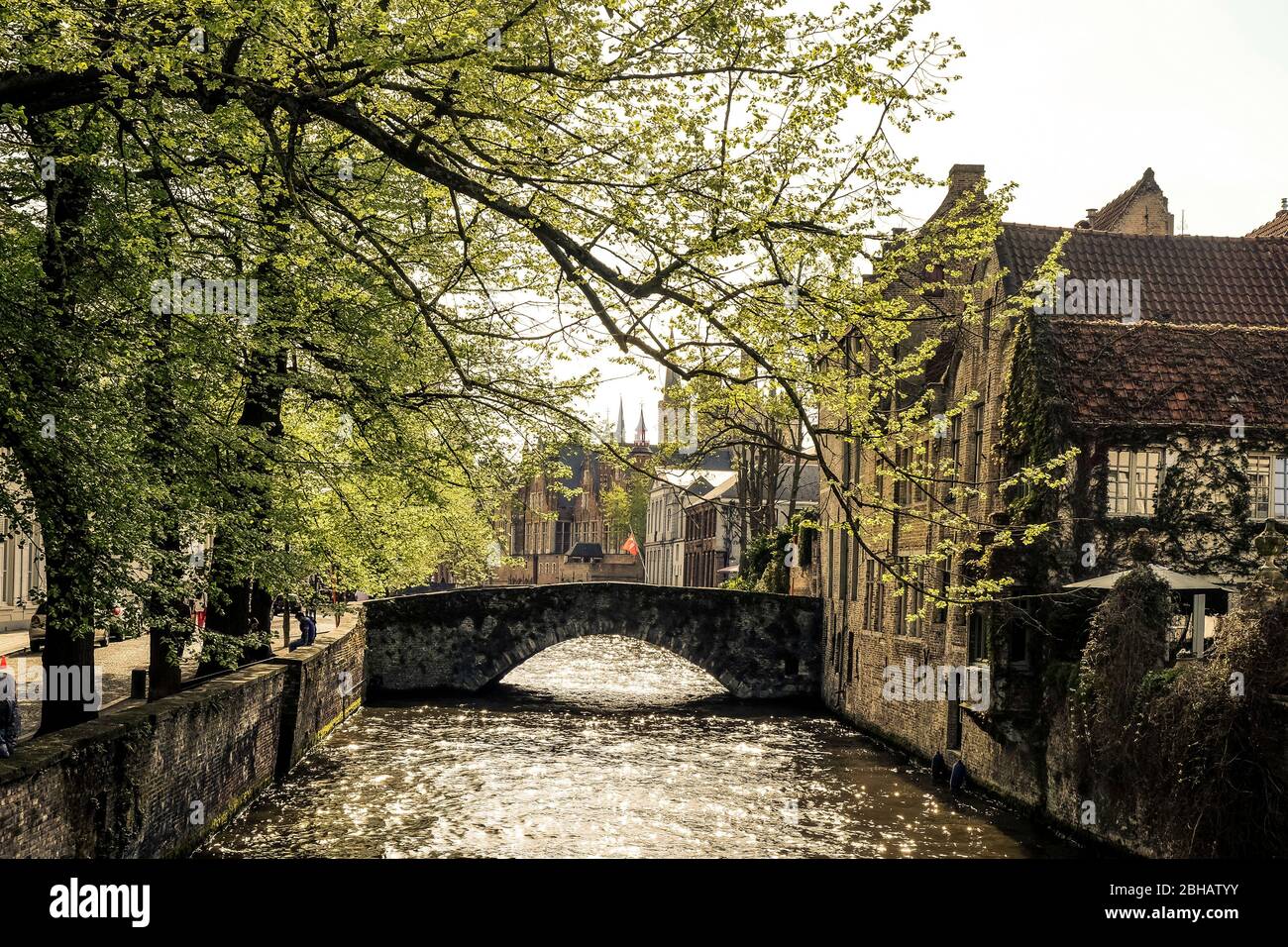 Golden evening mood in the spring-like Bruges Stock Photo