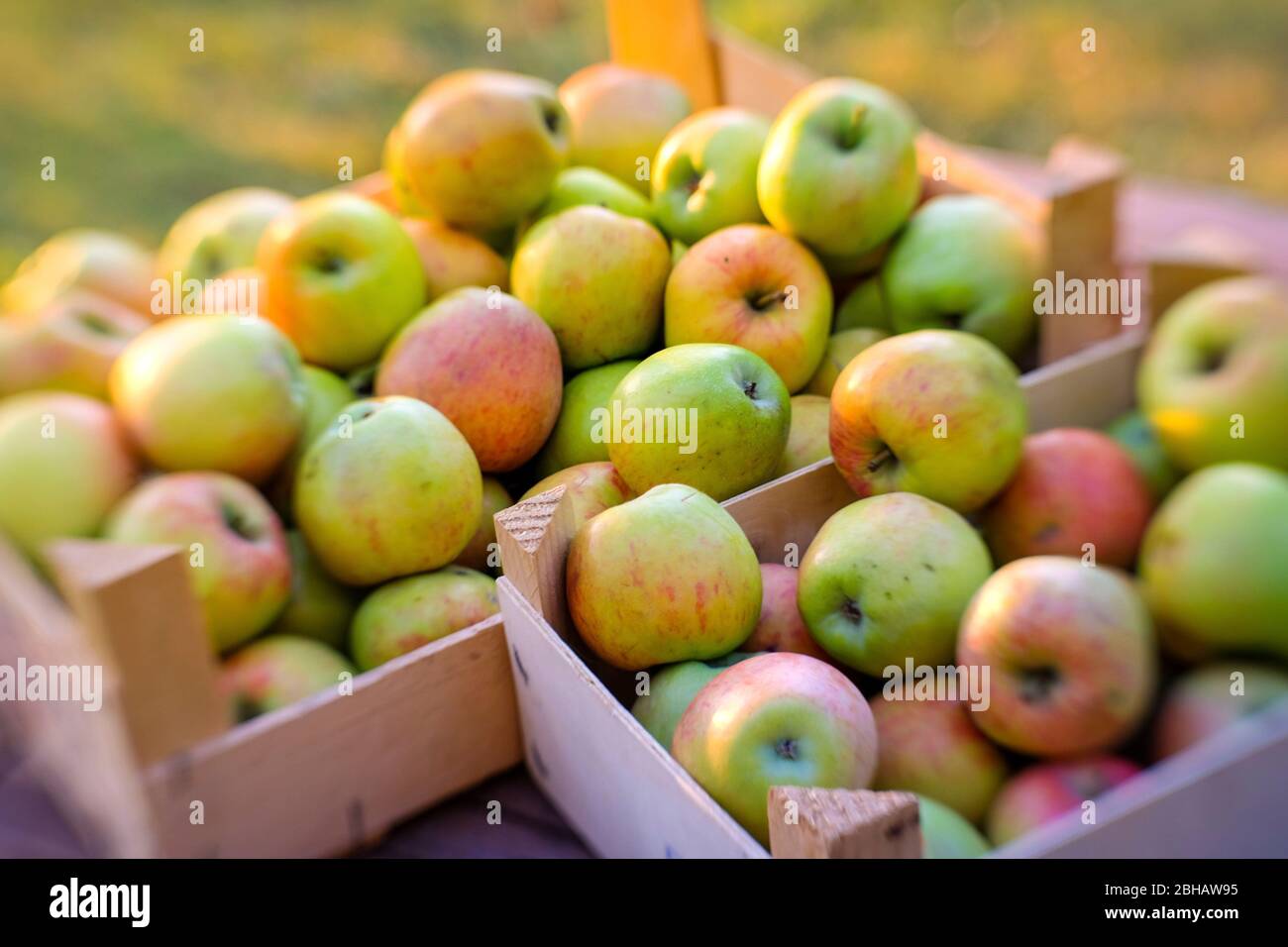 Apple boxes hires stock photography and images Alamy