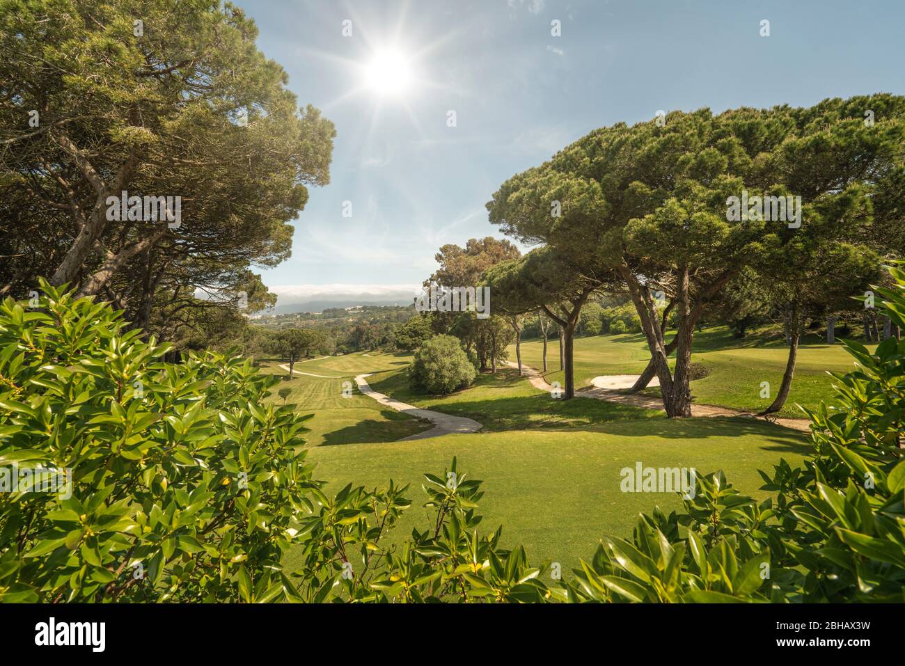 Golf course with sun facing. Stock Photo