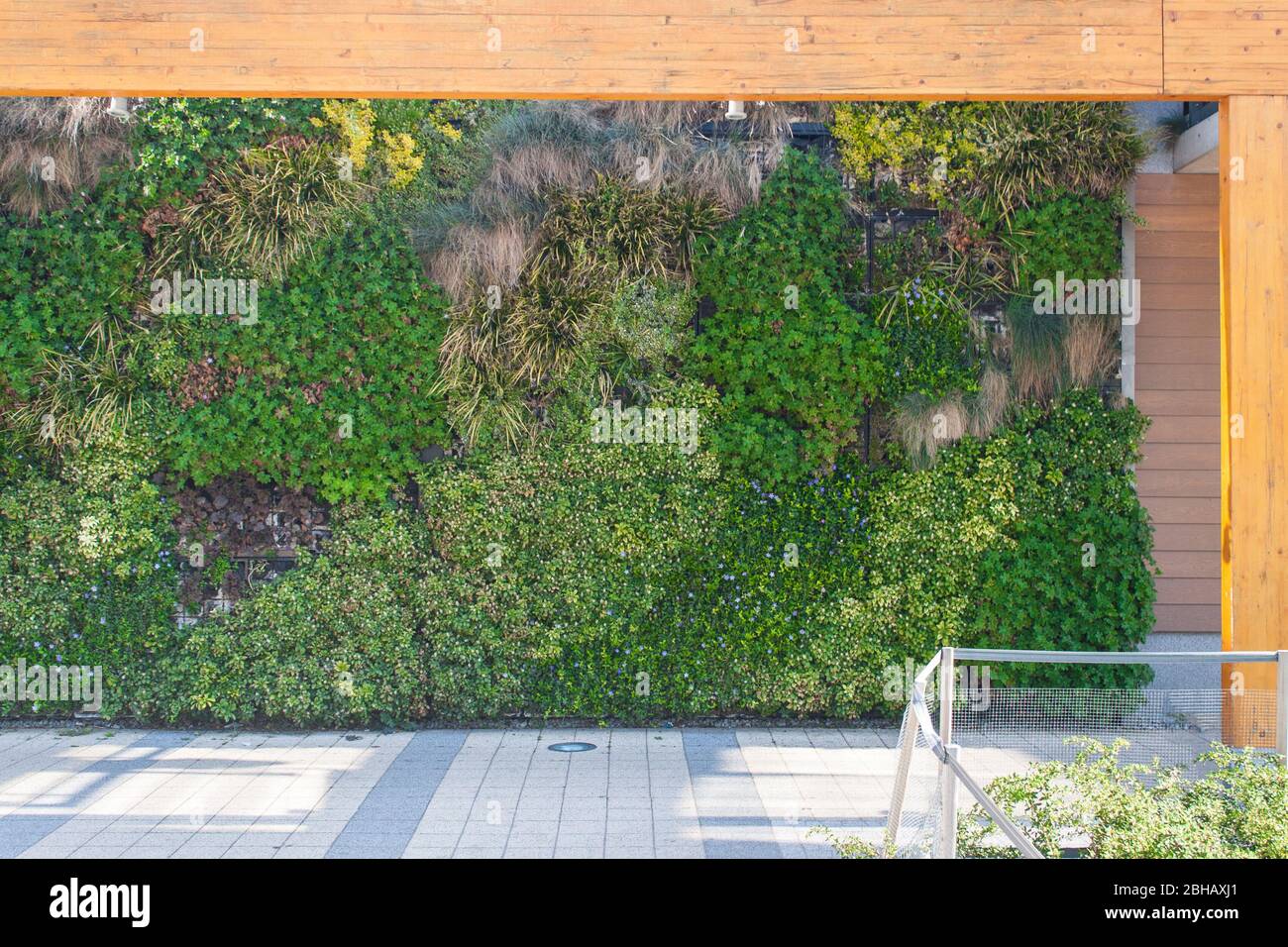 Vertical green wall gardens hi-res stock photography and images - Alamy