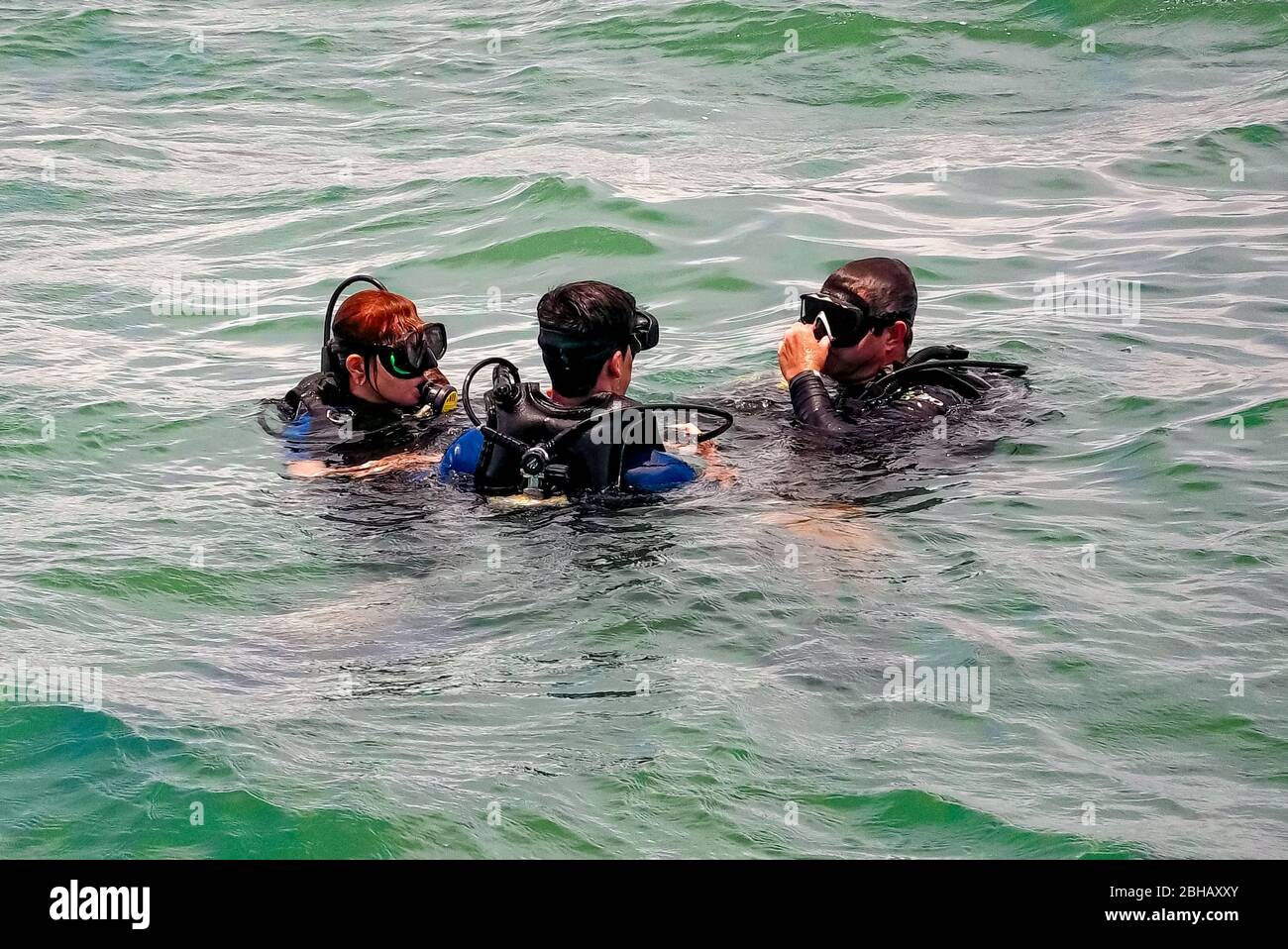 Scuba divers getting ready to dive deep down the ocean in Salvador