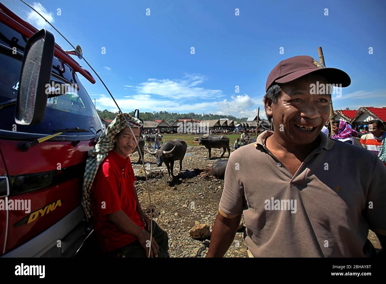 Water buffalo traders at traditional livestock market in Rantepao, North Toraja, South Sulawesi, Indonesia. Stock Photo