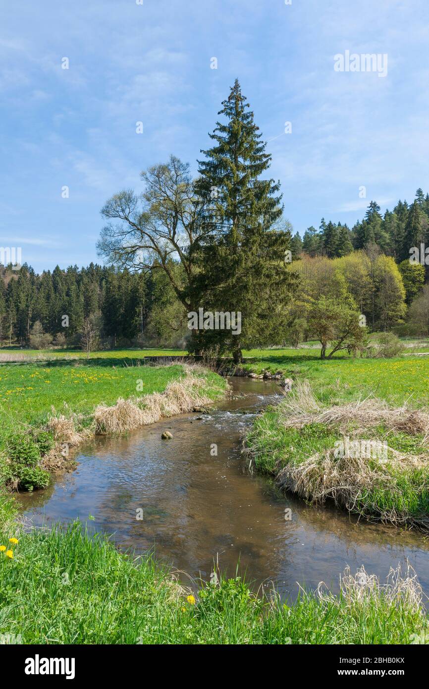 Germany, Baden-Württemberg, Gammertingen, nature reserve Fehlatal, valley of the Fehla, tributary of the Lauchert. The idyllic hiking area is located in the Geopark Swabian Alb. Stock Photo