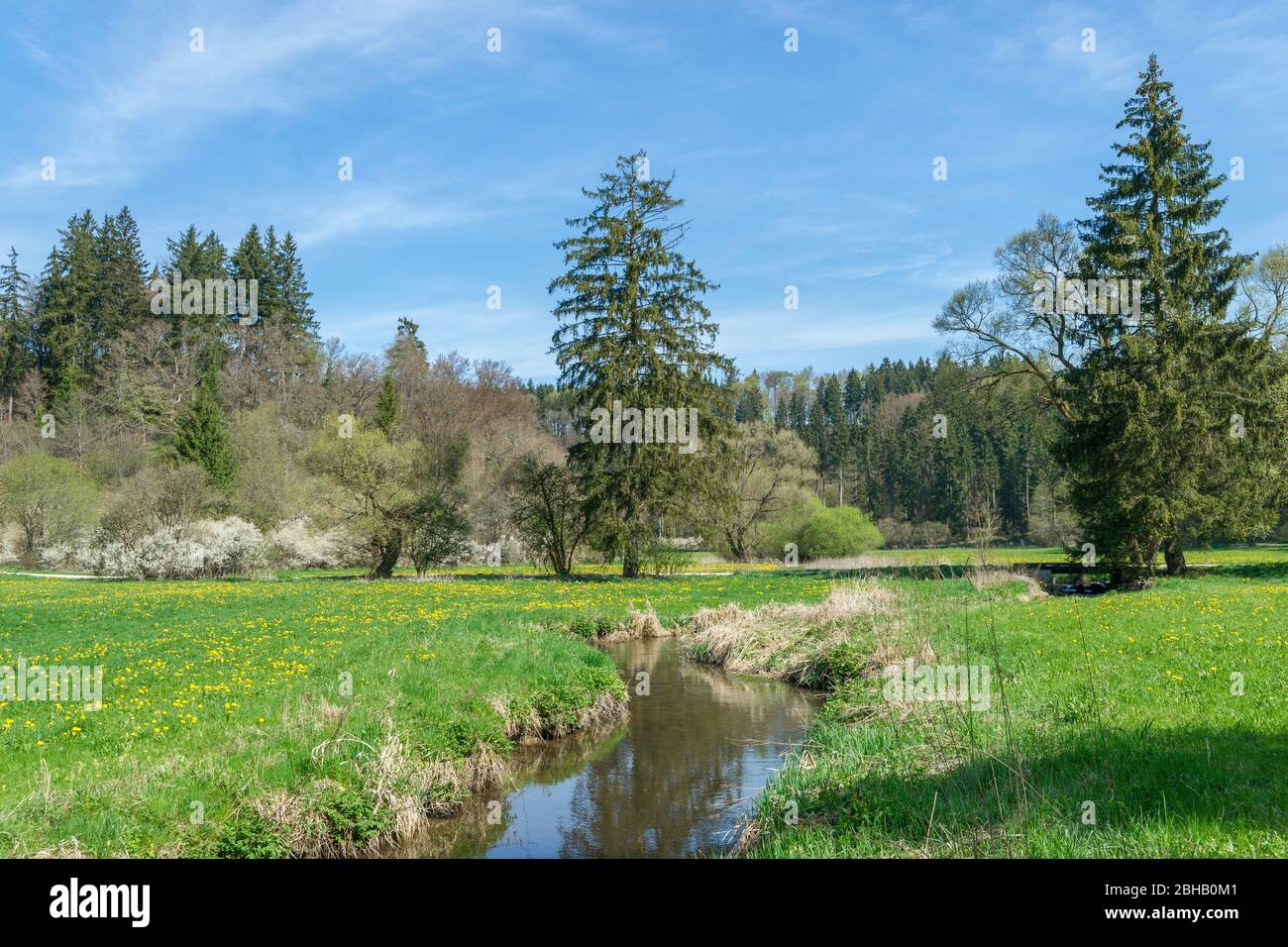 Germany, Baden-Württemberg, Gammertingen, nature reserve Fehlatal, valley of the Fehla, tributary of the Lauchert. The idyllic hiking area is located in the Geopark Swabian Alb. Stock Photo