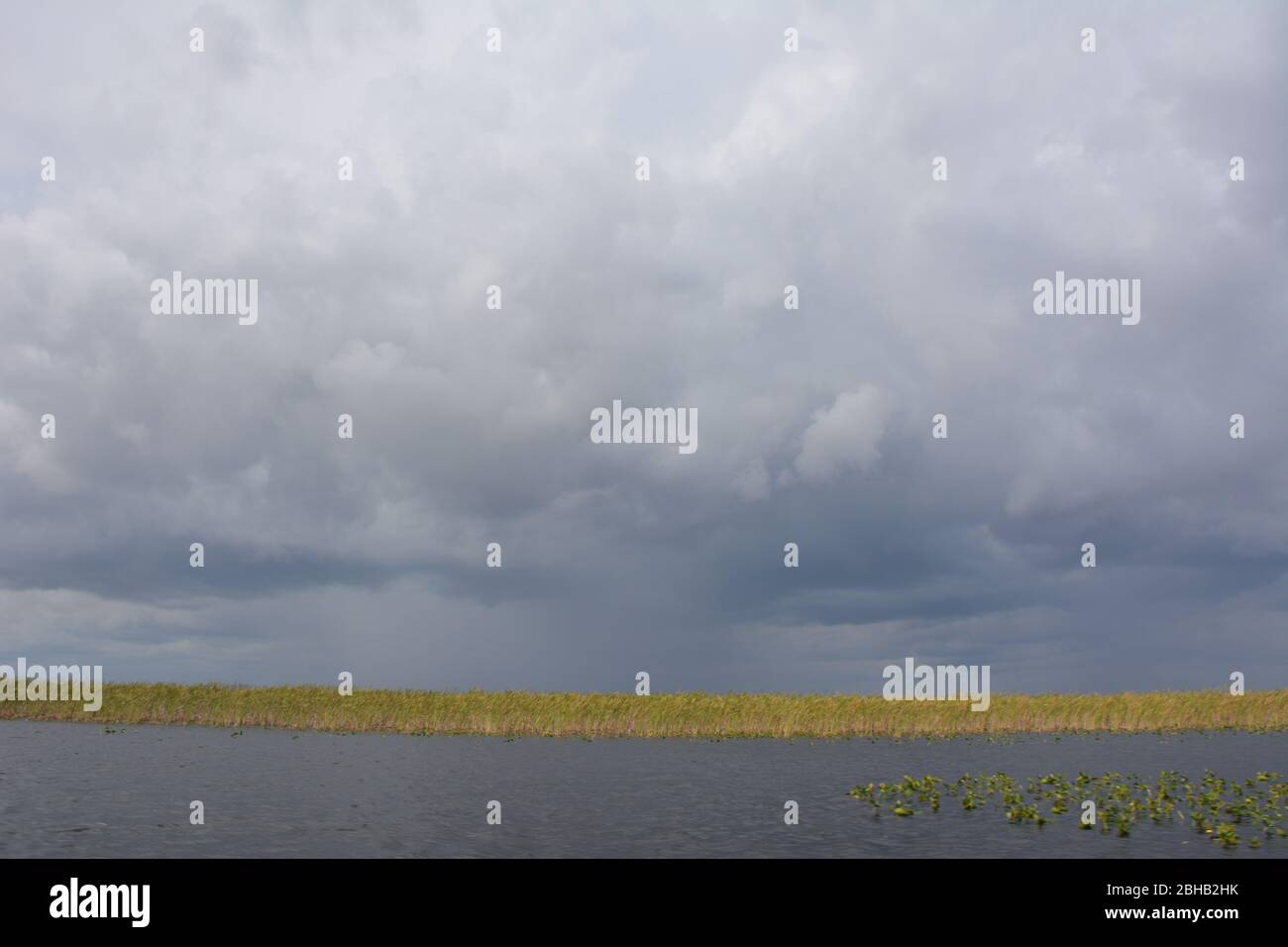 Clouds brewing in a January scene from an airboat tour in Everglades and Francis S. Taylor