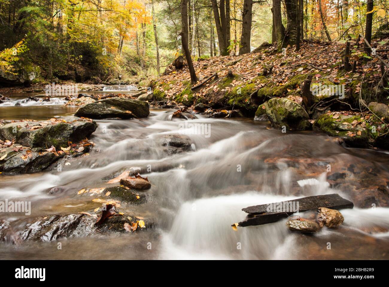 Swiftly flowing creek surrounded by a forest of fall color Stock Photo