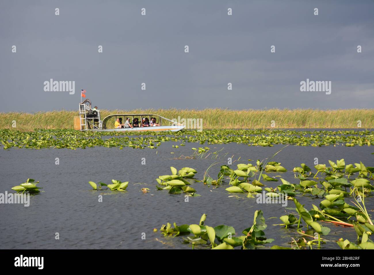 January scene from an airboat tour in Everglades and Francis S. Taylor Wildlife Management Area