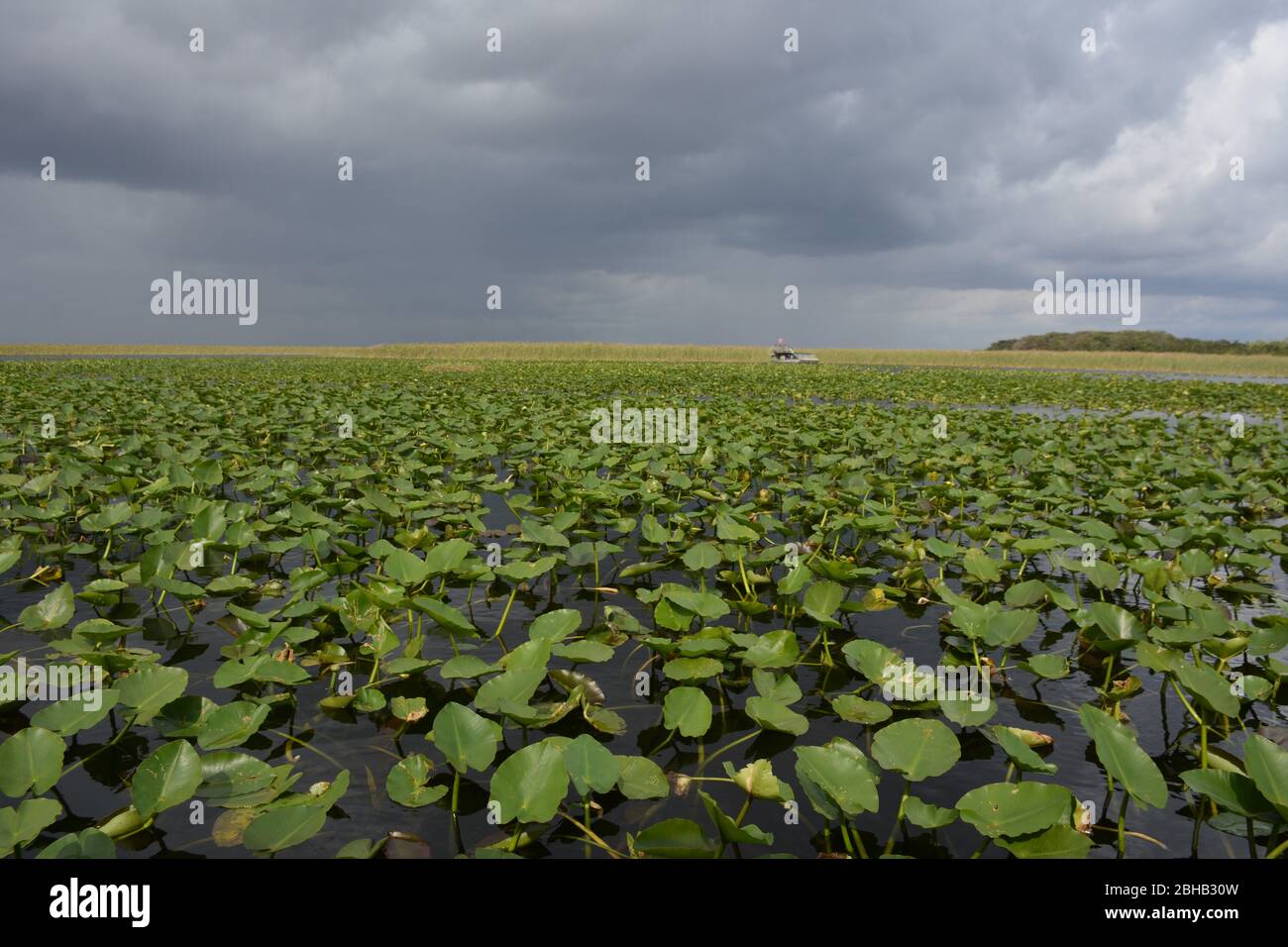 Clouds brewing in a January scene from an airboat tour in Everglades and Francis S. Taylor