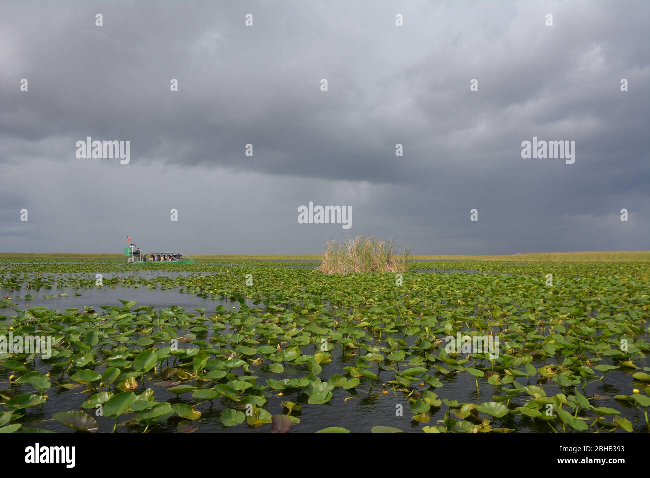 Clouds brewing in a January scene from an airboat tour in Everglades and Francis S. Taylor Wildlife Management Area, Fort Lauderdale, Florida, USA. Stock Photo