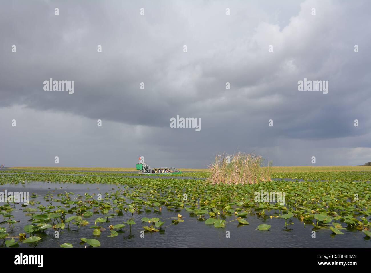 Clouds brewing in a January scene from an airboat tour in Everglades and Francis S. Taylor