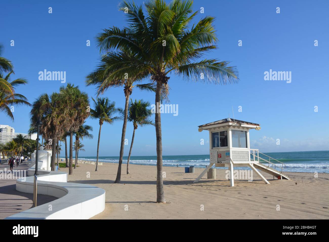 The beach at Fort Lauderdale, Florida, with its palm trees, landscaped