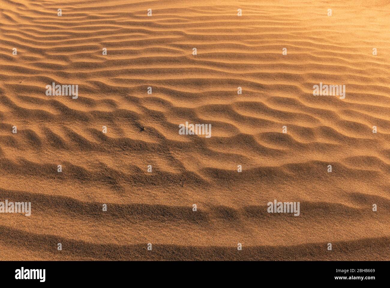 Sand texture close up hi-res stock photography and images - Alamy