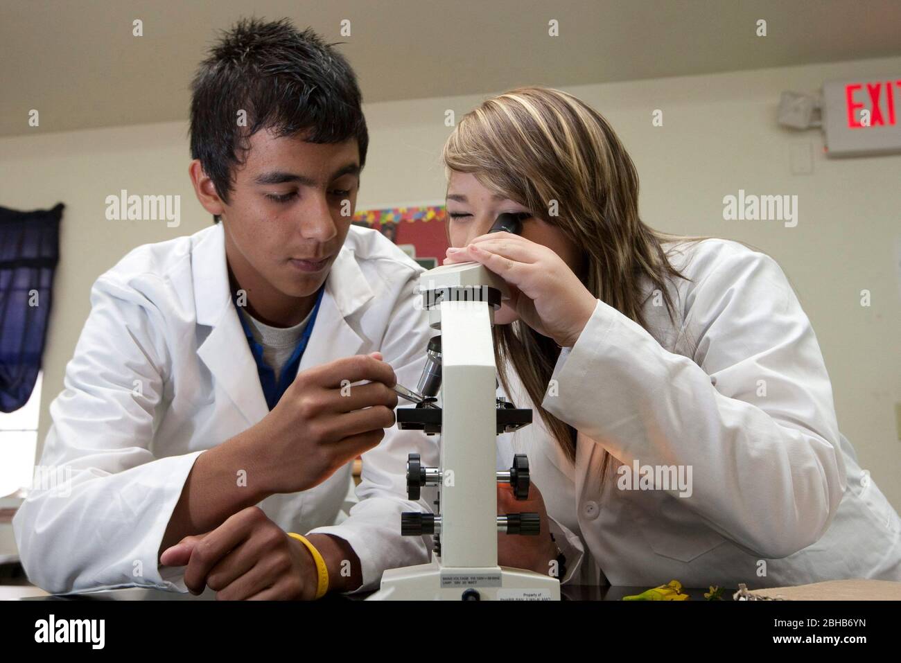 Pharr Texas USA, May 13 2010: High School students in the Pharr-San Juan-Alamo School District's Early College High School T-STEM Academy look through microscopes at plant samples in the biology lab.  The school gives students the option of earning college credit while taking advanced high school courses and getting a head start on college.  ©Bob Daemmrich Stock Photo