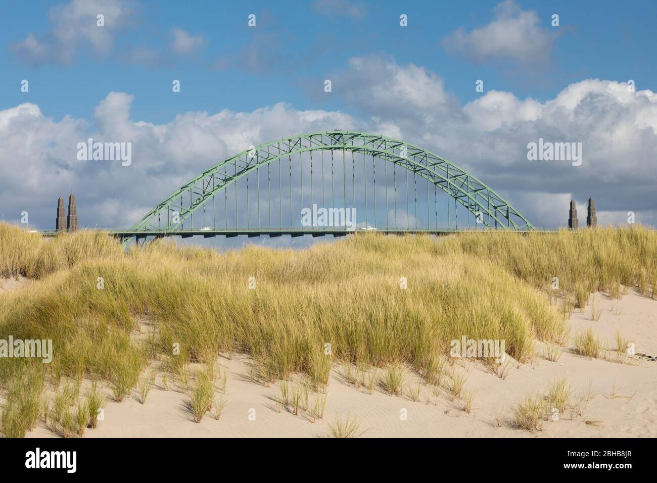 View of grass growing on sand and bridge behind, Oregon City Bridge, Oregon, USA Stock Photo