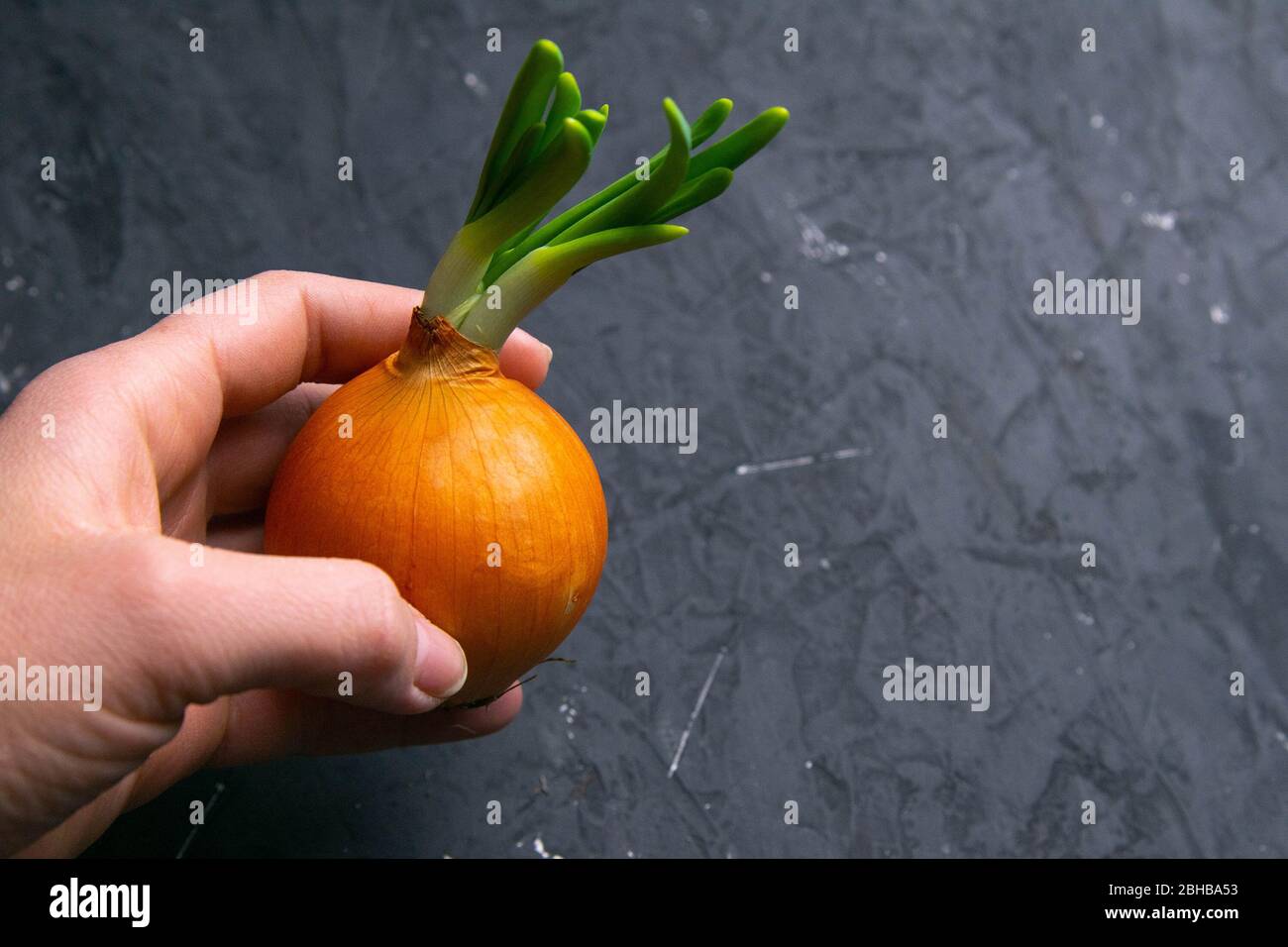 Womans hands cutting bulb onion hi-res stock photography and images - Alamy
