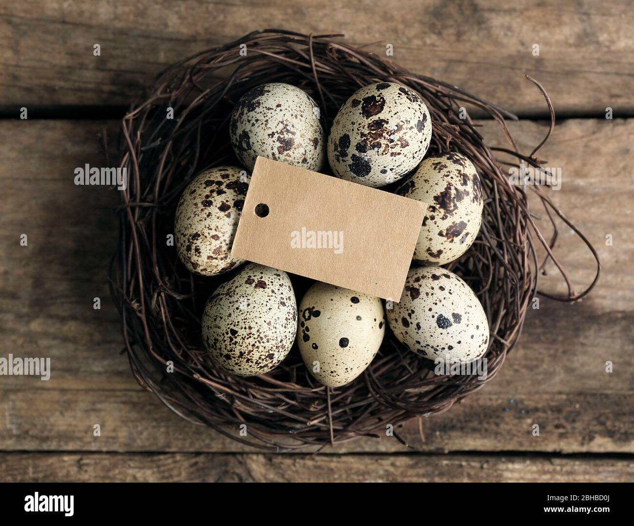 Bird eggs in nest on wooden background Stock Photo - Alamy