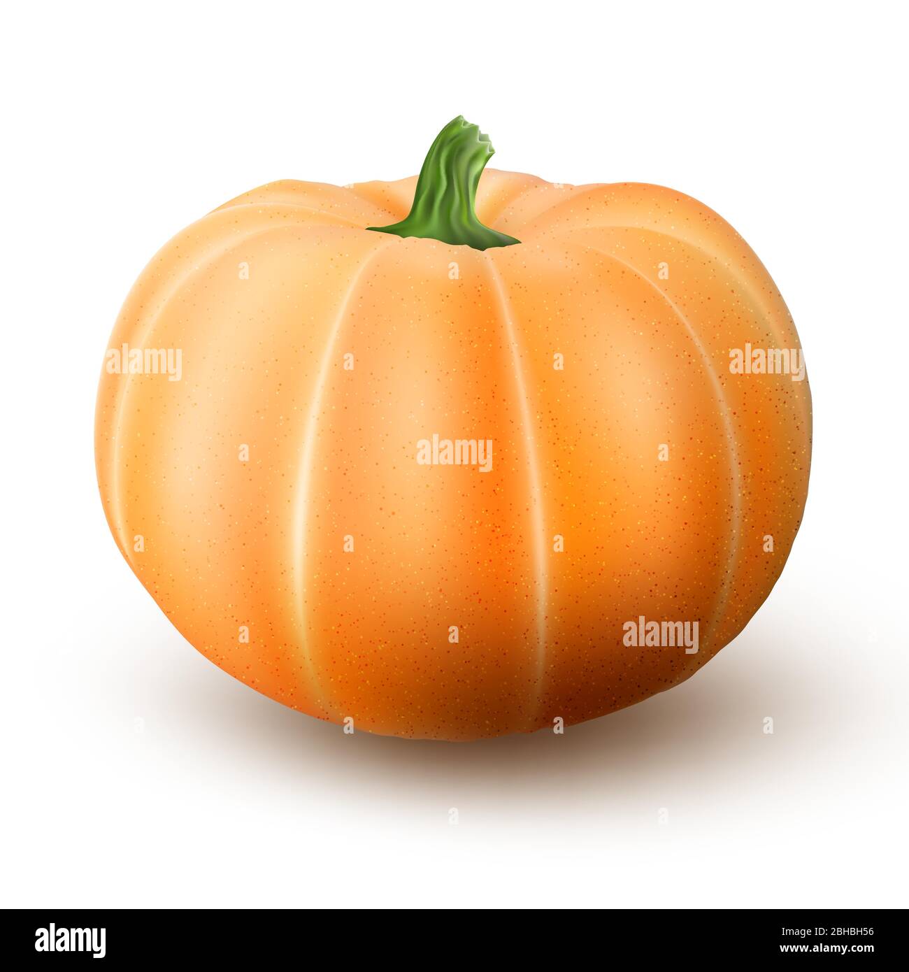 Realistic macro orange pumpkin isolated on white background. EPS 10 Stock Vector