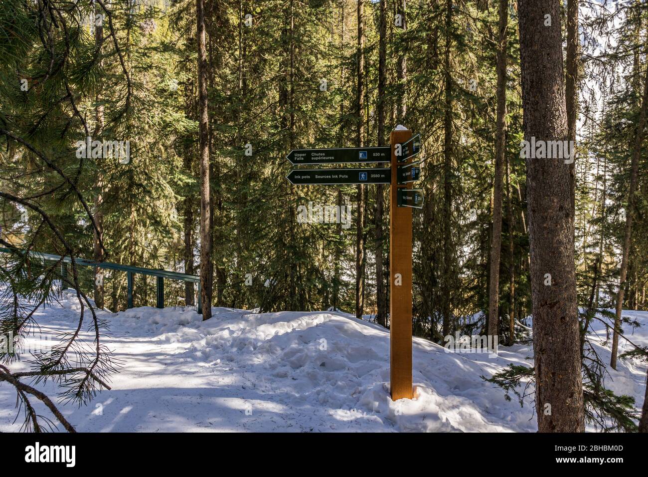 BANF, CANADA - MARCH 20, 2020: path in the forest winter landscape hiking trail. Stock Photo