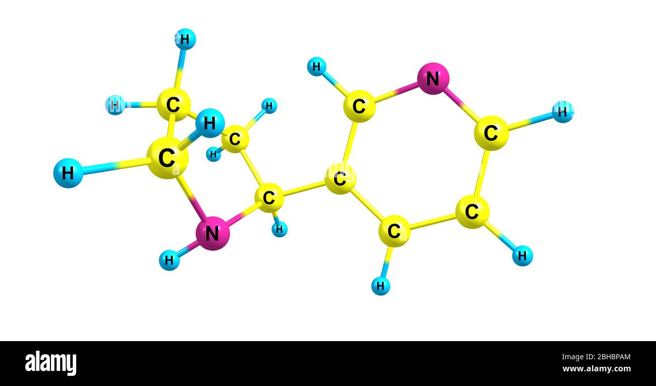 Nornicotine is an alkaloid found in various plants including Nicotiana, the  tobacco plant. It is chemically similar to nicotine, but does not contain  Stock Photo