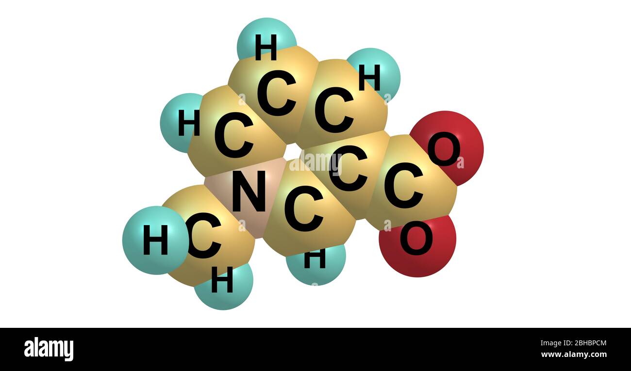 Trigonelline is an alkaloid with chemical formula C7H7NO2. It is a ...