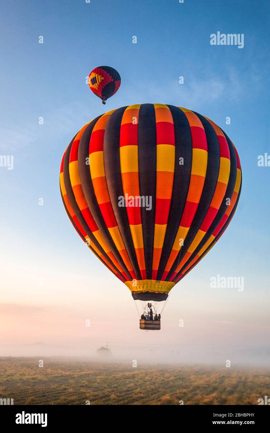 Hot air balloons at sunrise  rise up over foggy fields near Tequisquiapan, Queretaro, Mexico. Stock Photo