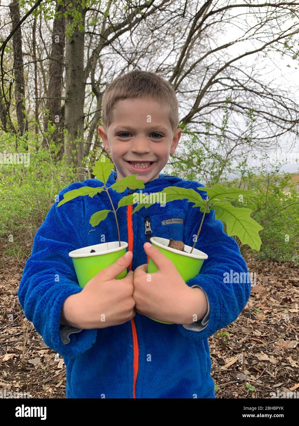 5 year old boy holding red oak tree saplings to plant for arbor day and earth day, pennsylvania Stock Photo