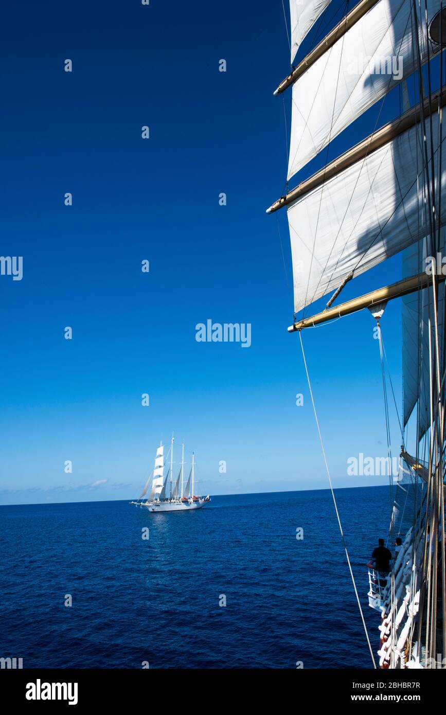 Caribbean, Dominica. Star Clipper sailing ship Stock Photo Alamy