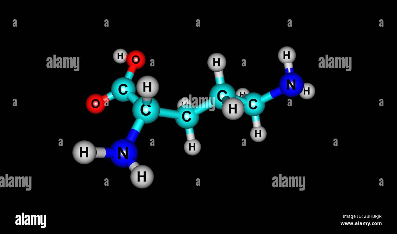 ornithine transcarbamylase deficiency – Patient Worthy, image size:1300x765
