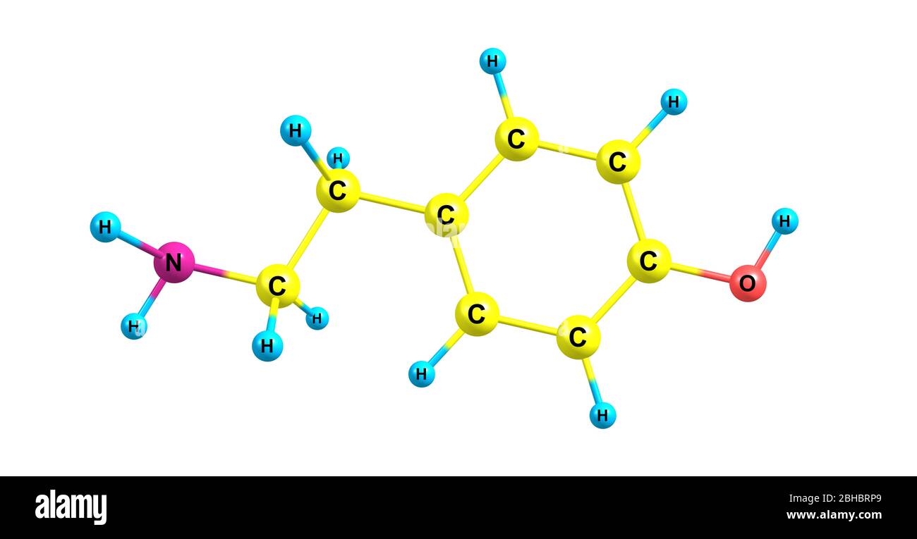 Tyramine High Resolution Stock Photography And Images Alamy Tyramine High Resolution Stock Photography And Images Alamy
