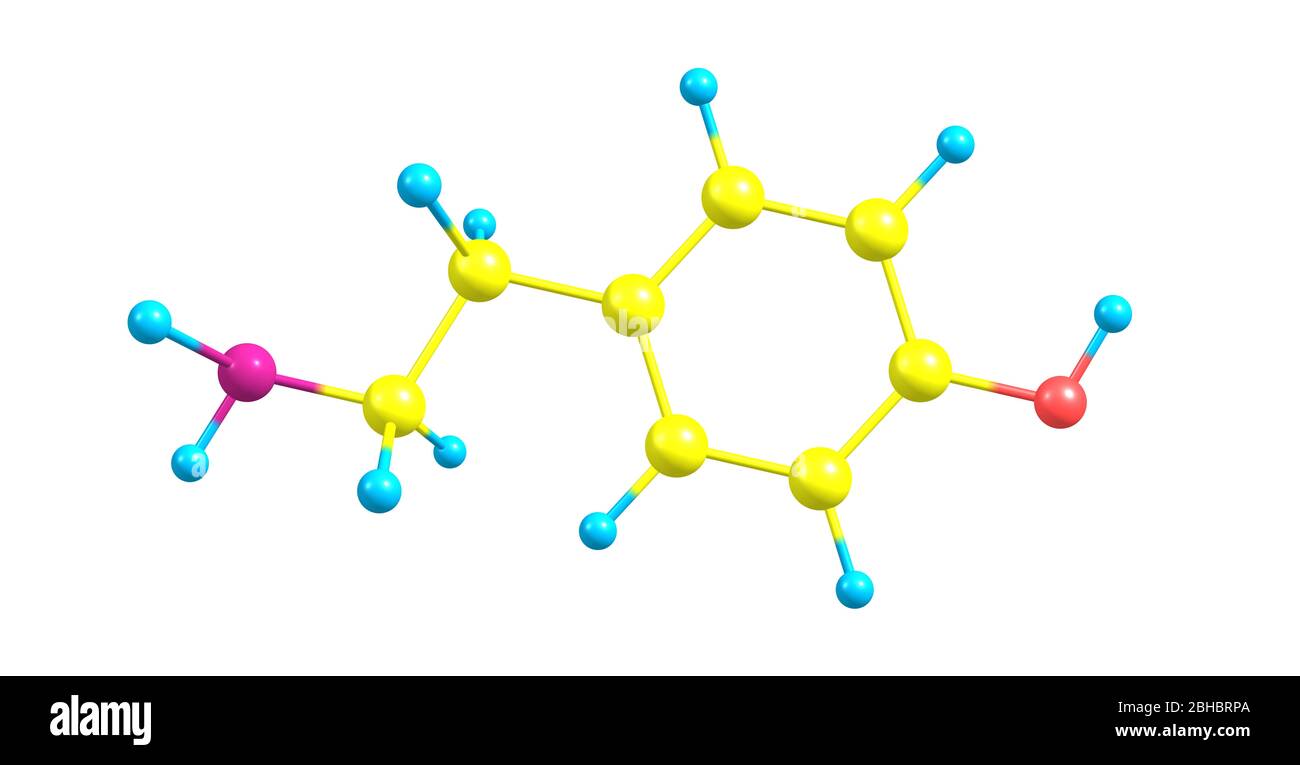 Tyramine Is A Naturally Occurring Trace Amine Derived From The Amino Acid Tyrosine 3d Illustration Stock Photo Alamy