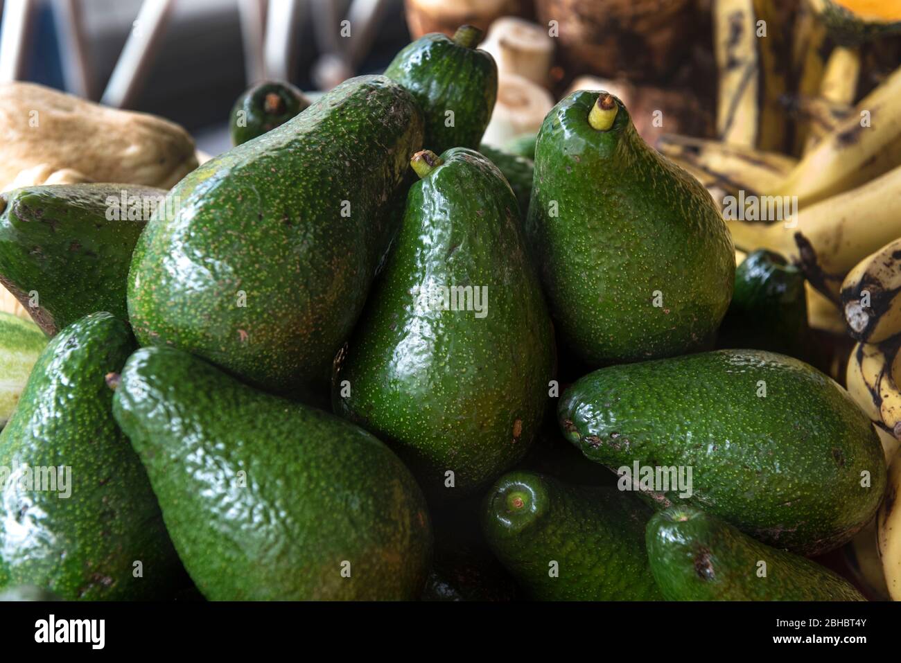 Caribbean, Lesser Antilles, Martinique. Local market, avocados. Stock Photo