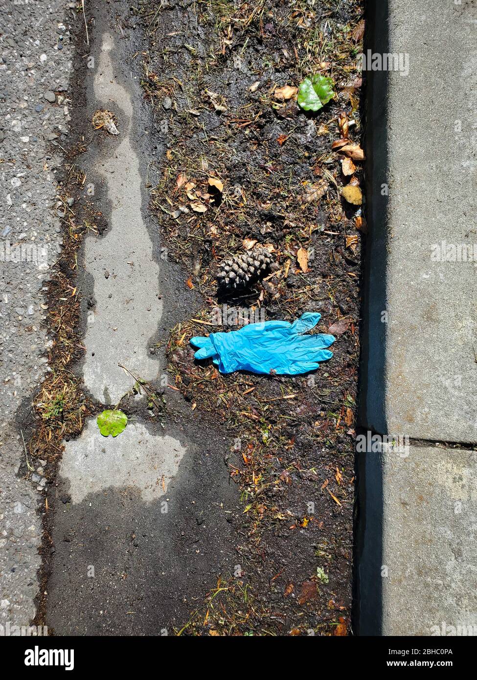 A pair of rubber medical gloves thrown away in a gutter Stock Photo