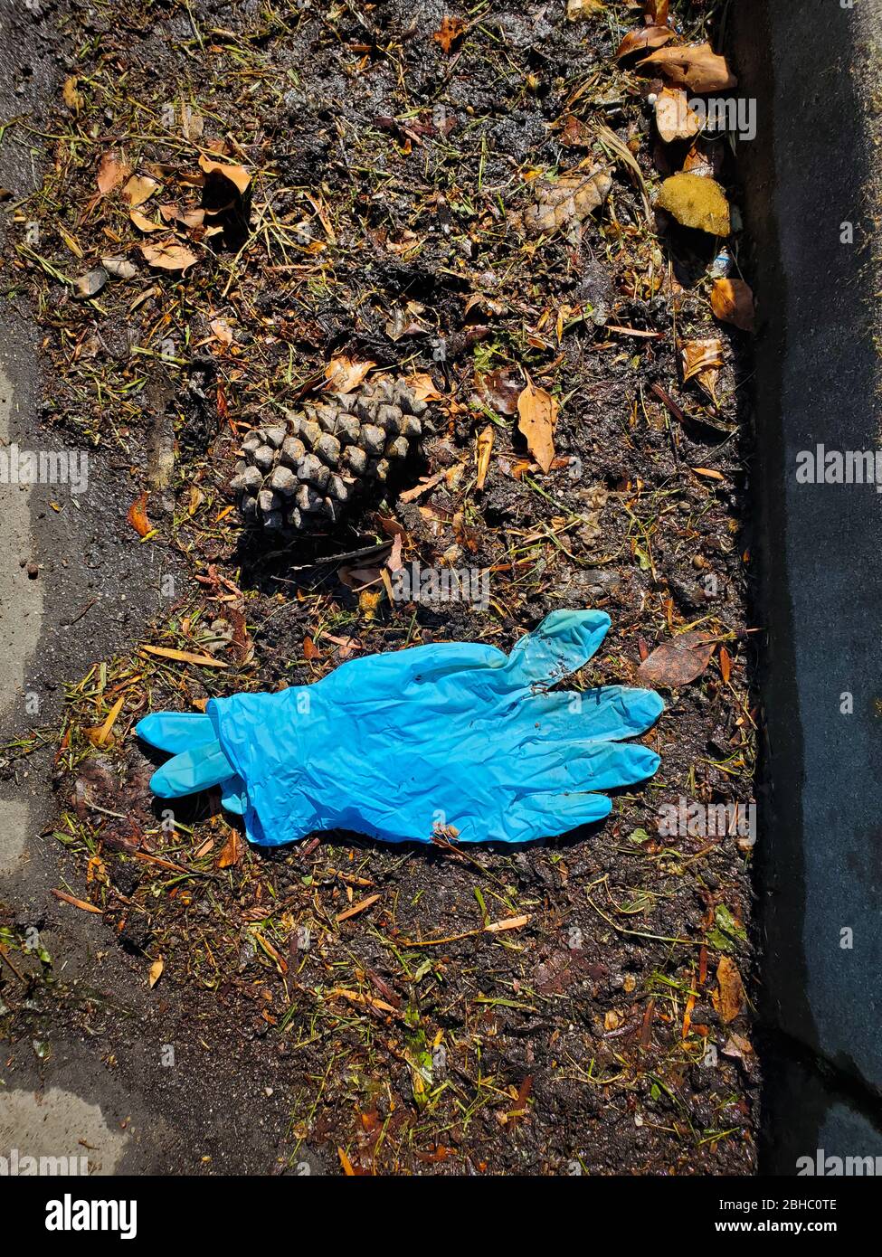 A pair of rubber medical gloves thrown away in a gutter Stock Photo