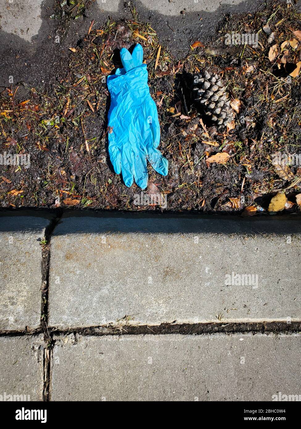 A pair of rubber medical gloves thrown away in a gutter Stock Photo