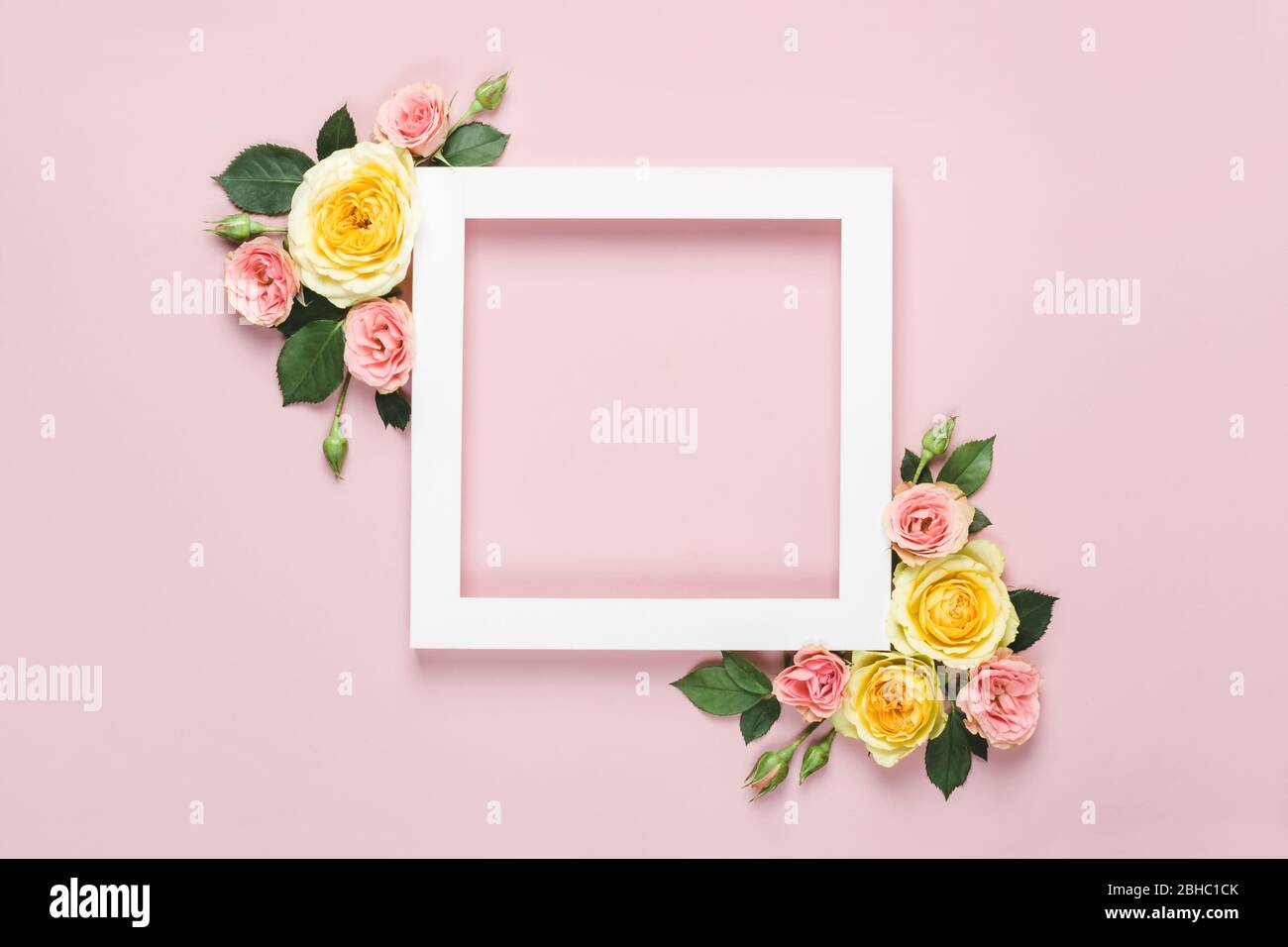 Creative layout with beautiful pink roses flowers and green leaves