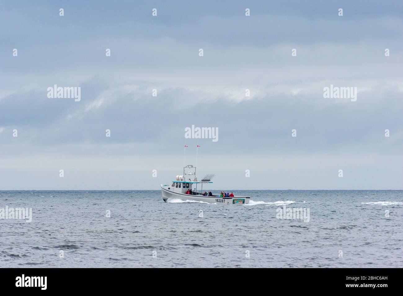 Deep sea cod hi-res stock photography and images - Alamy