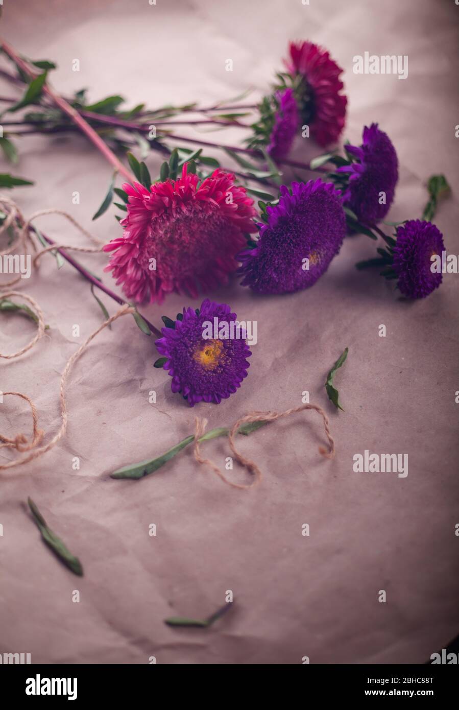 cut violet and pink asters are collected in a bouquet Stock Photo