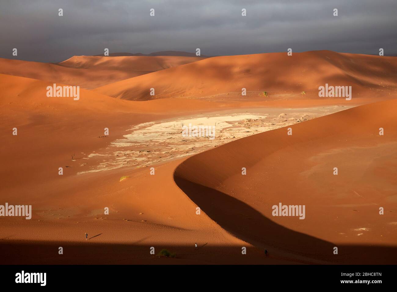 Tourists, dead trees (thought to be 900 years old),  and giant sand dunes at Deadvlei, near Sossusvlei, Namib-Naukluft National Park, Namibia, Africa Stock Photo