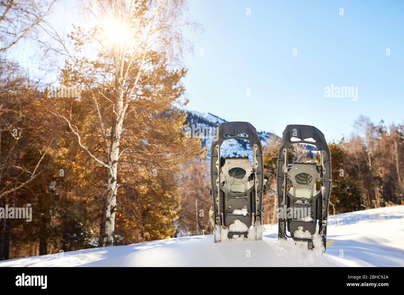 Snowshoes in the snow on the mountain forest against blue sky Stock Photo
