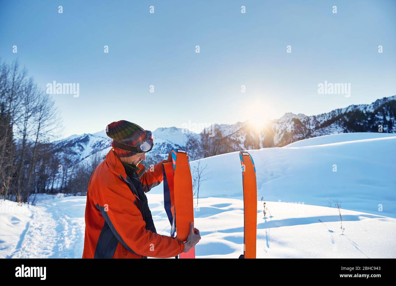 Man put on camus on his orange skis for ski touring in the mountains at sunrise Stock Photo