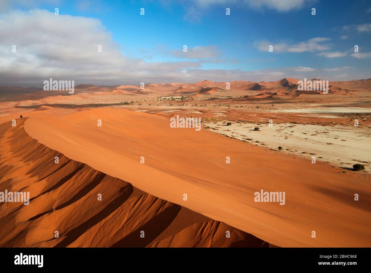 Sand dune beside Deadvlei, near Sossusvlei, Namib-Naukluft National Park, Namibia, Africa Stock Photo