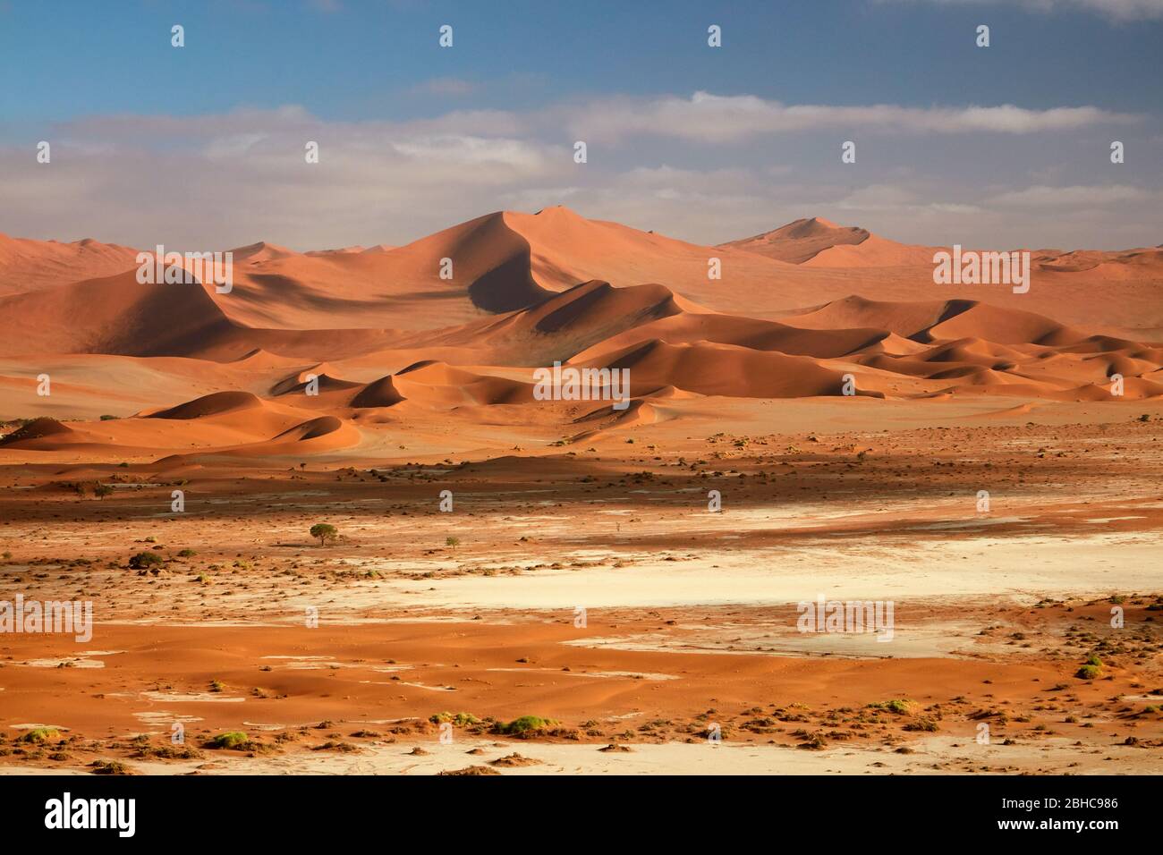 Sand dunes at Sossusvlei, Namib-Naukluft National Park, Namibia, Africa Stock Photo
