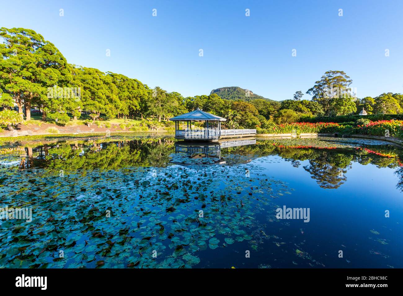 The duck pond at Wollongong Botanic Gardens Stock Photo