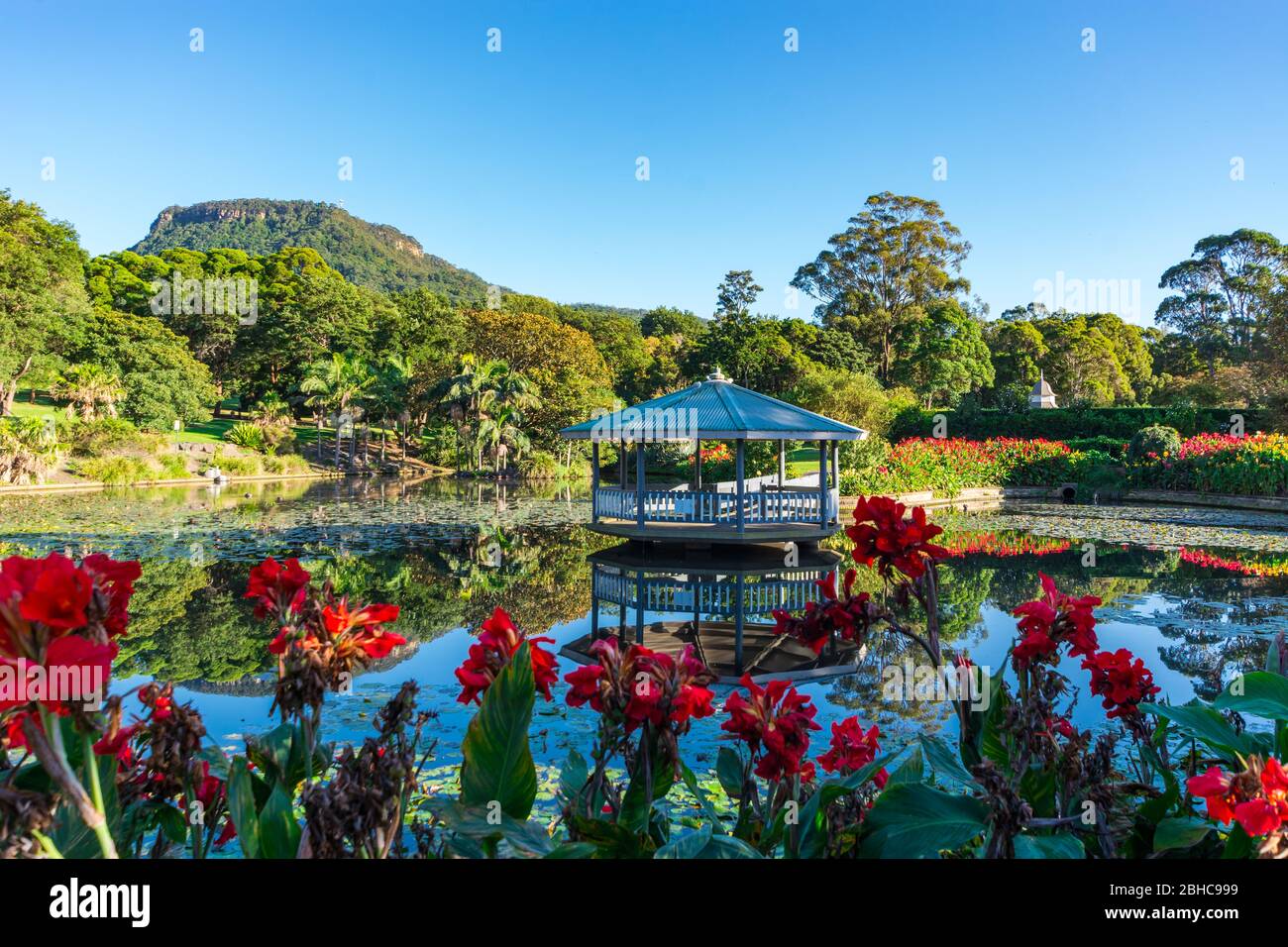 The duck pond at Wollongong Botanic Gardens Stock Photo
