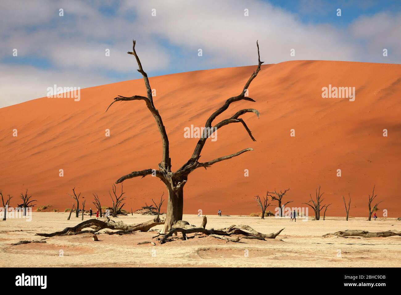 Dead trees (thought to be 900 years old) and sand dunes at Deadvlei, near Sossusvlei, Namib-Naukluft National Park, Namibia, Africa Stock Photo