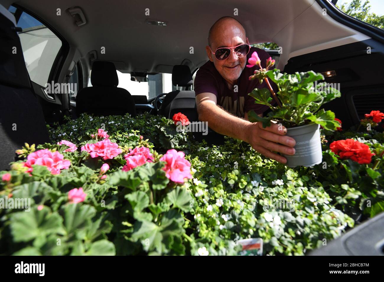 Battersea Flower Station Gardener Jules Ward prepares plants for